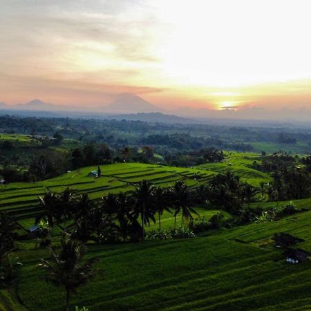 Bhuana Agung Villa And Restaurant Jatiluwih Exteriér fotografie