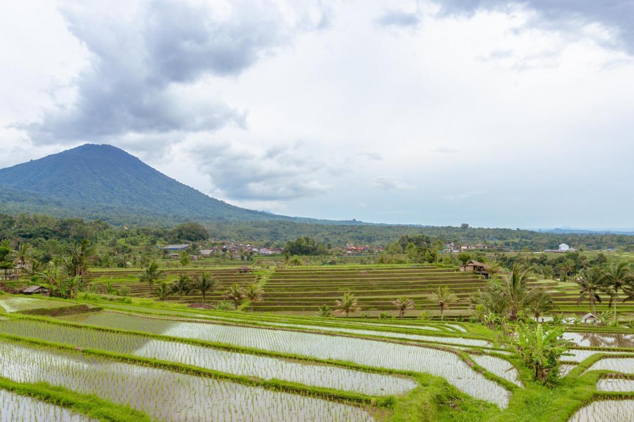 Bhuana Agung Villa And Restaurant Jatiluwih Exteriér fotografie