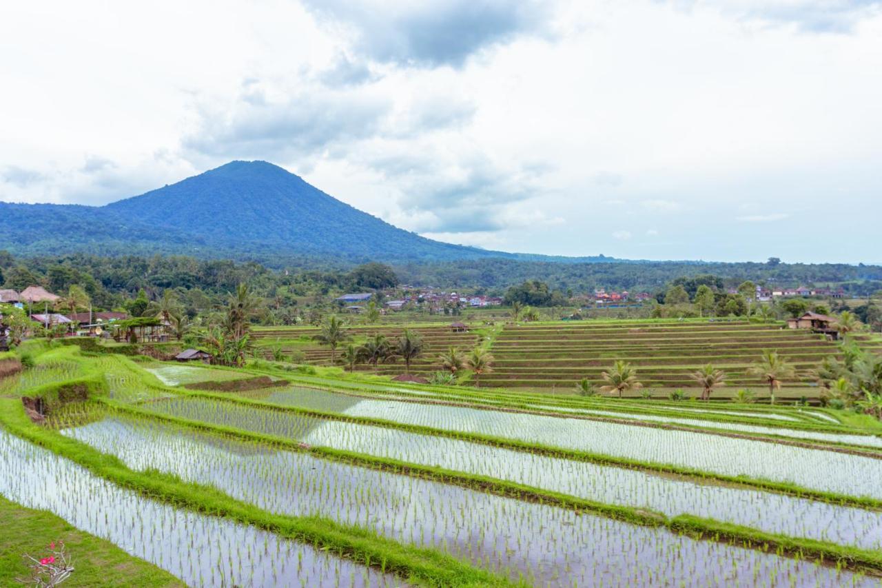 Bhuana Agung Villa And Restaurant Jatiluwih Exteriér fotografie