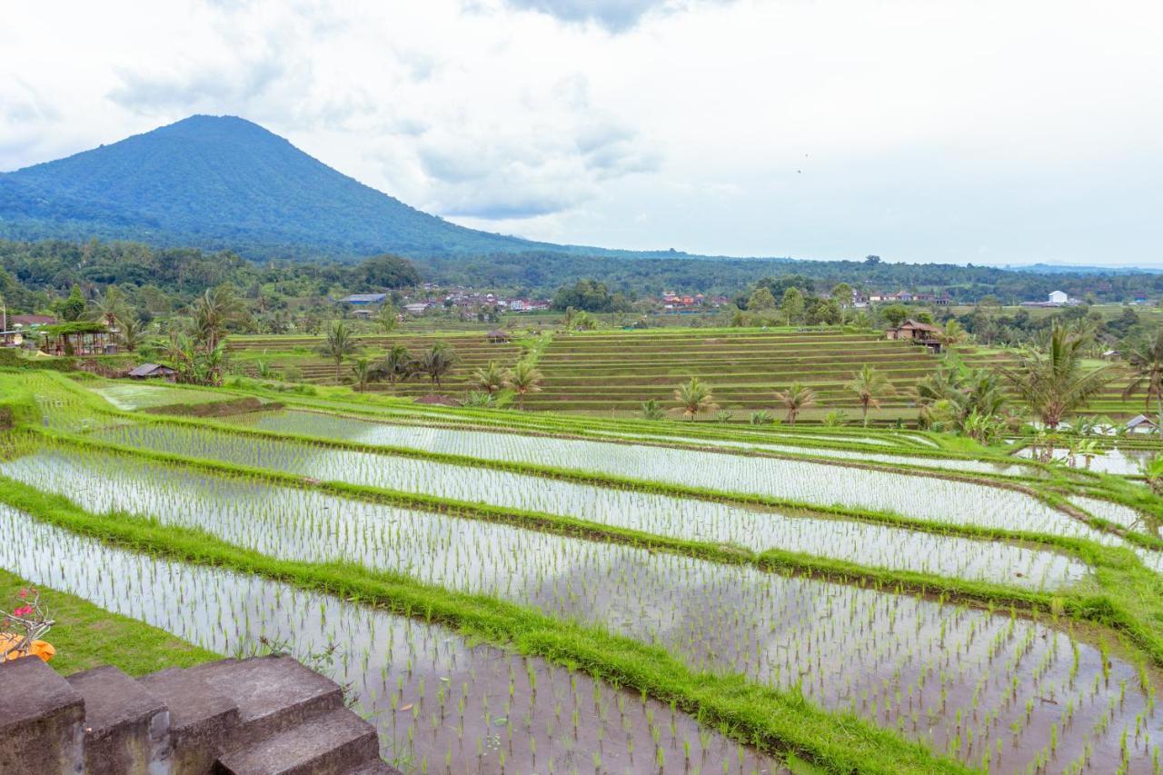 Bhuana Agung Villa And Restaurant Jatiluwih Exteriér fotografie