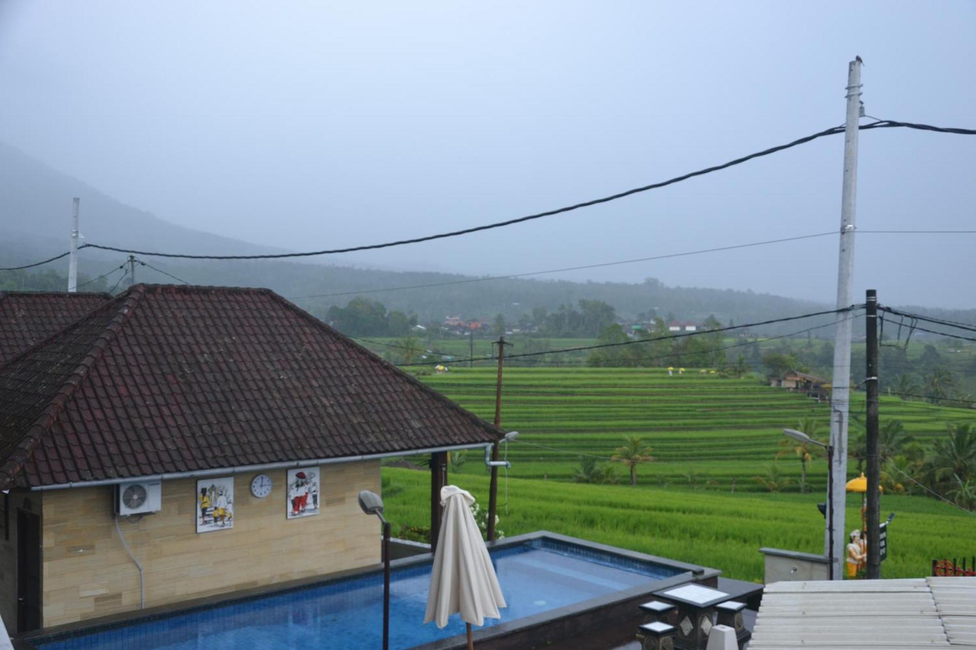 Bhuana Agung Villa And Restaurant Jatiluwih Exteriér fotografie