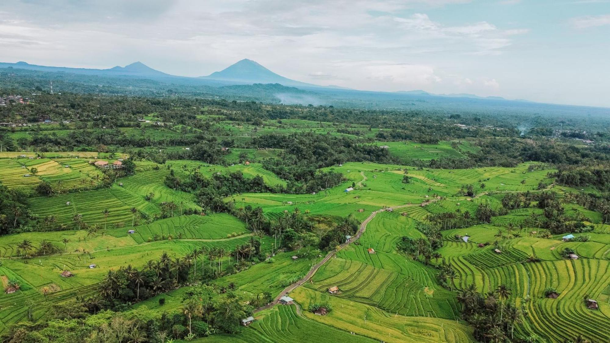 Bhuana Agung Villa And Restaurant Jatiluwih Exteriér fotografie