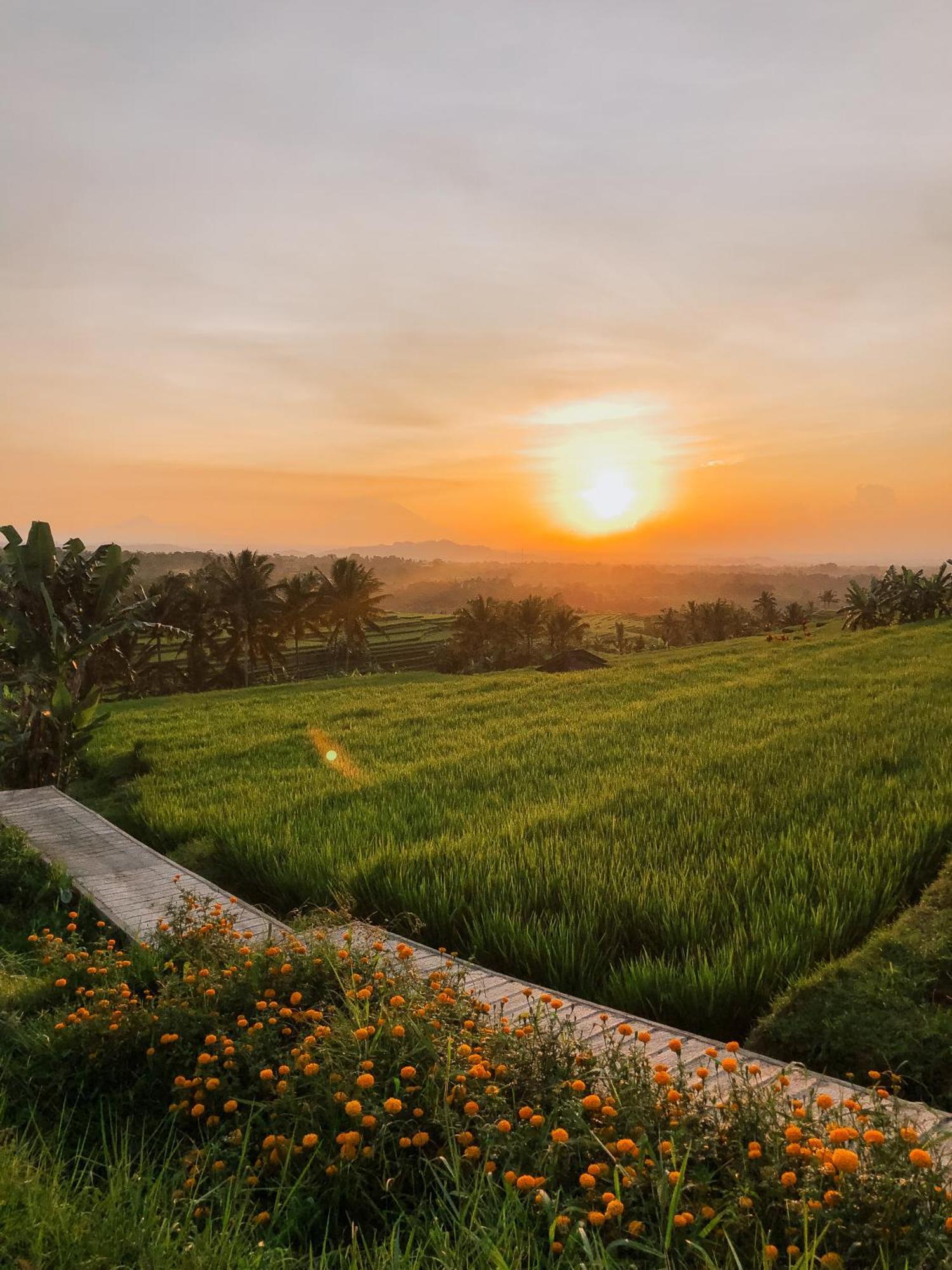 Bhuana Agung Villa And Restaurant Jatiluwih Exteriér fotografie