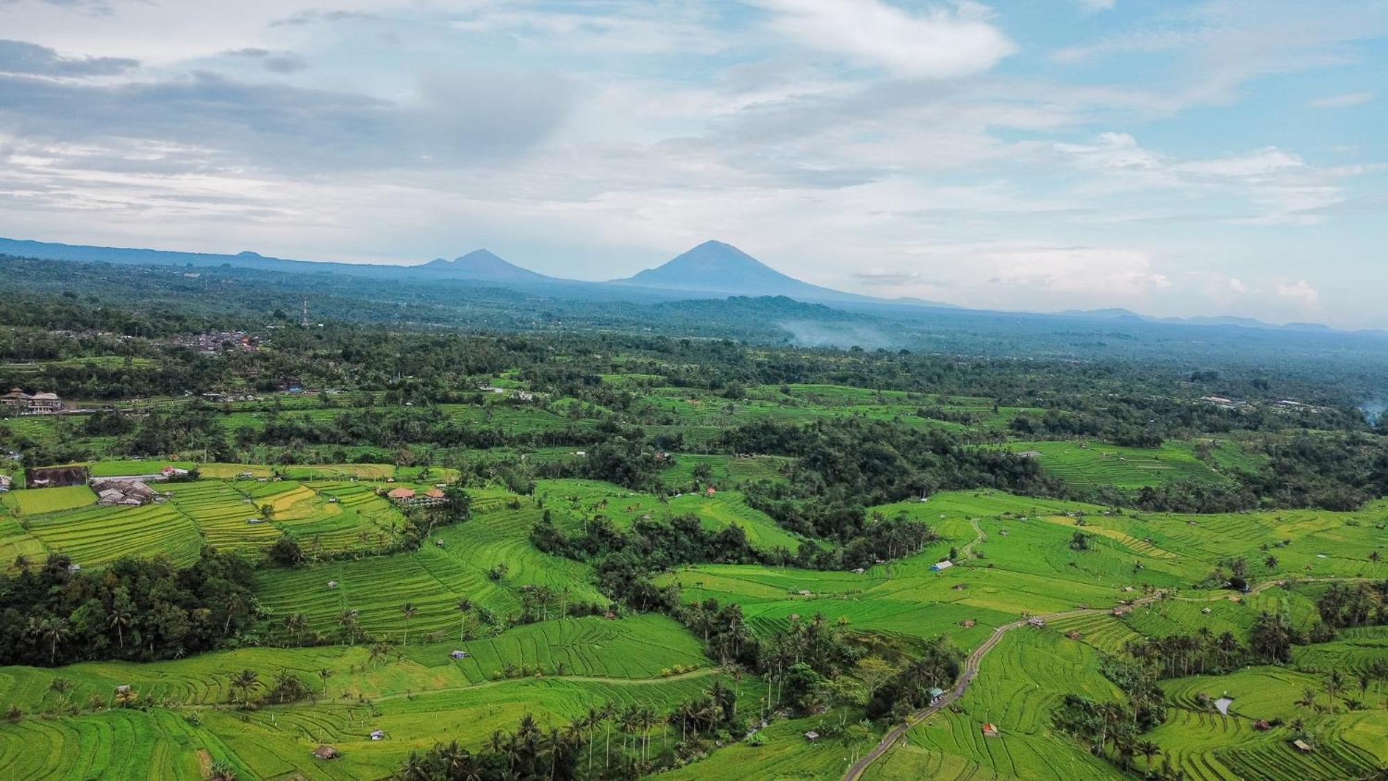 Bhuana Agung Villa And Restaurant Jatiluwih Exteriér fotografie