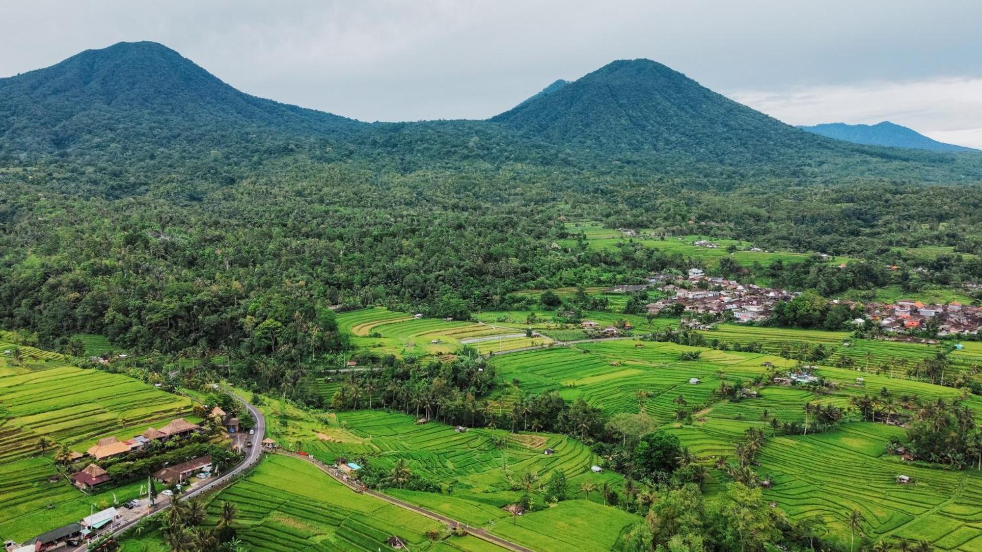 Bhuana Agung Villa And Restaurant Jatiluwih Exteriér fotografie