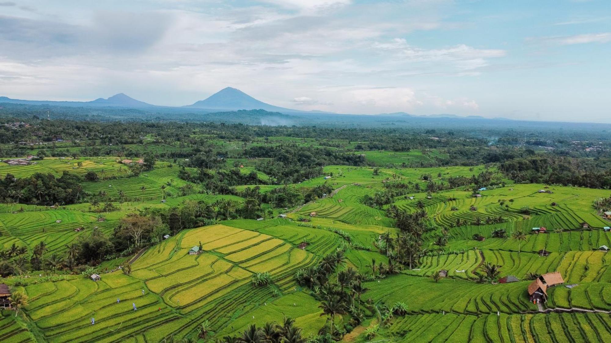 Bhuana Agung Villa And Restaurant Jatiluwih Exteriér fotografie